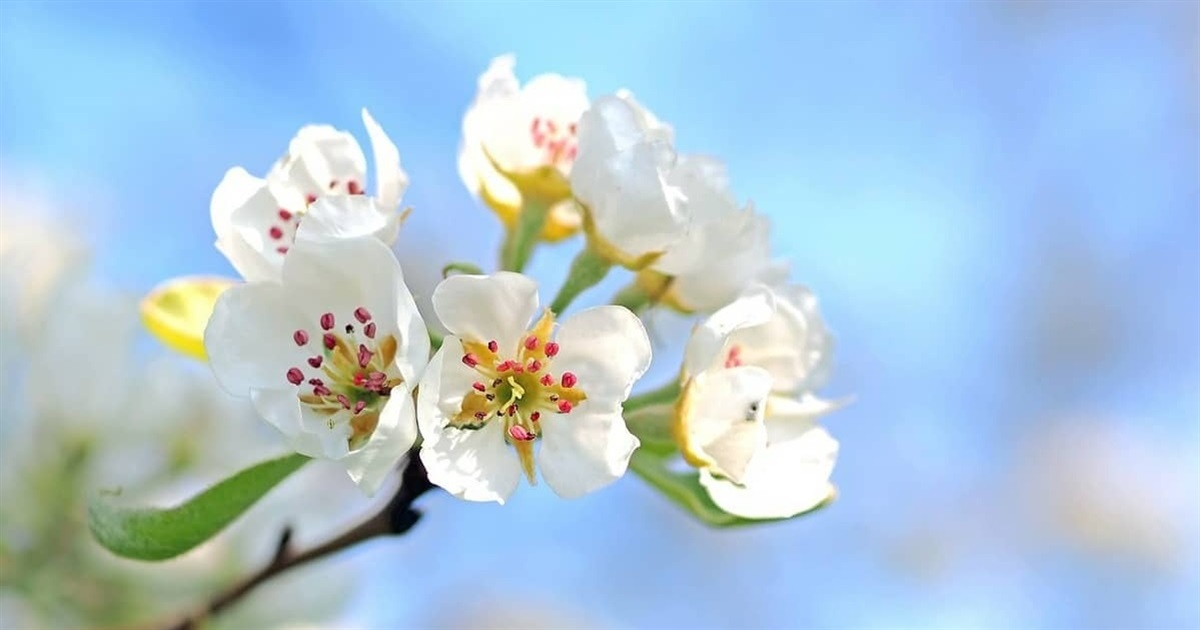 Березень піде з невеликими дощами, квітень почнеться грозами: прогноз погоди