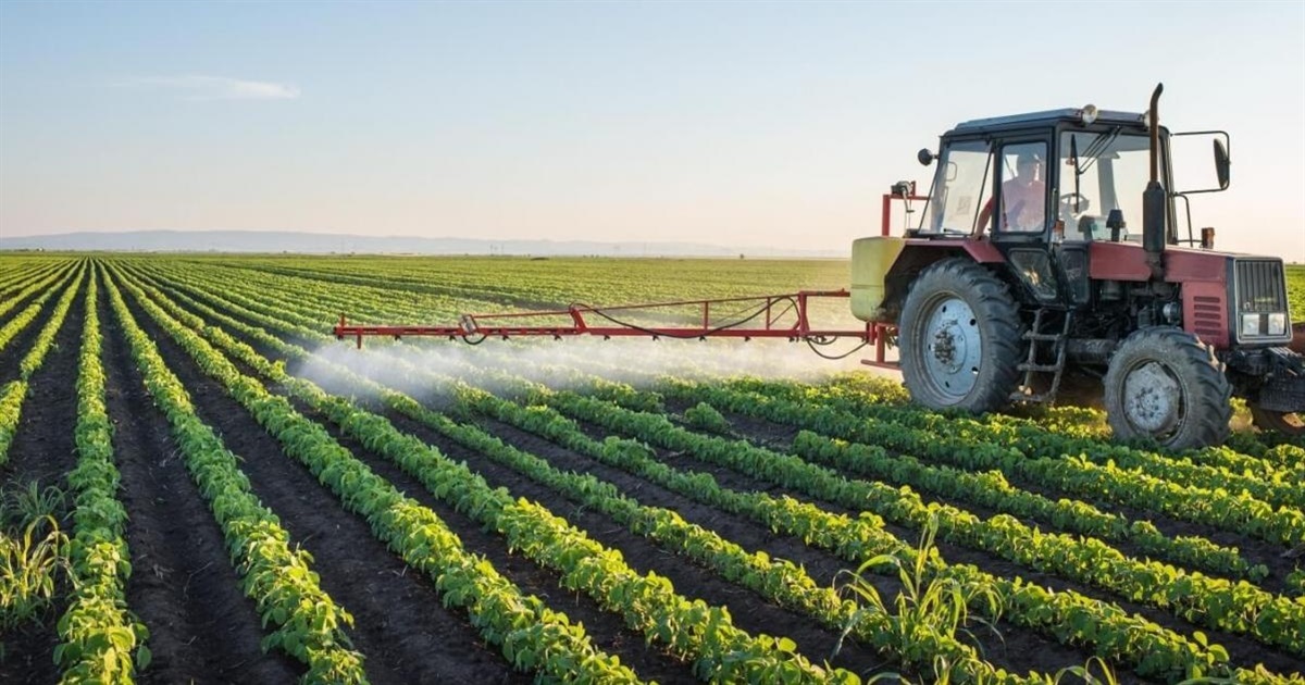 Підтримка звягельських підприємств від USAID АГРО: конкурс на одержання співфінансування