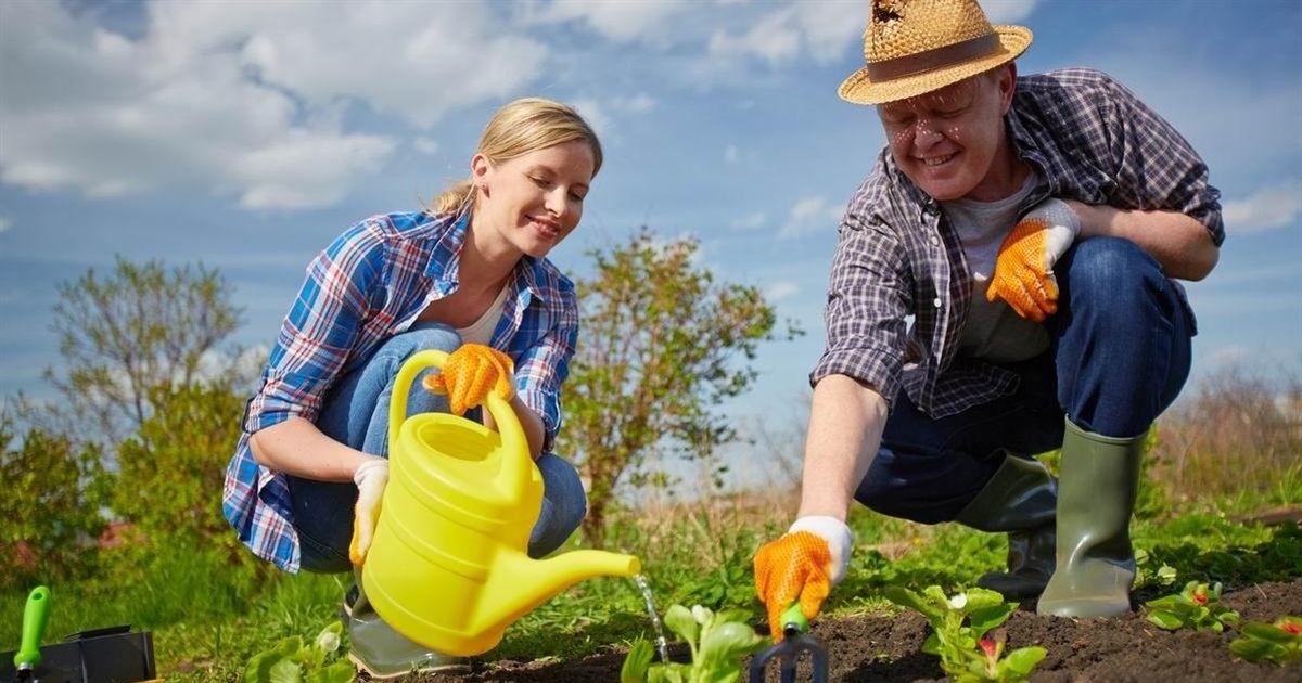 Посівний календар на травень 2026 року: сприятливі дні для городника та садівника