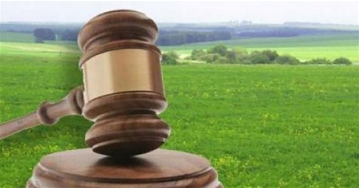 На Житомирщині підозрюють двох державних реєстраторів у незаконному вибутті 1170 га лісового фонду