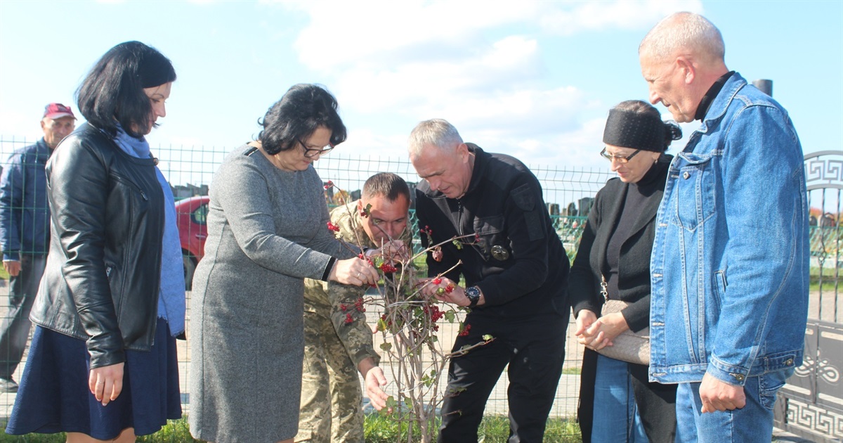 У пам’ять про полеглих воїнів. У Городку, на Алеї Слави, тепер ростуть кущі калини