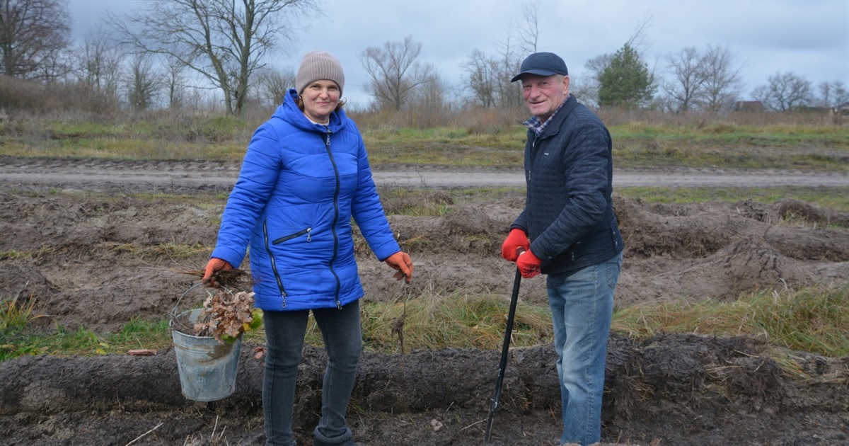 У Студениківській громаді завдяки благодійникам висадили нову лісосмугу довжиною 400 метрів