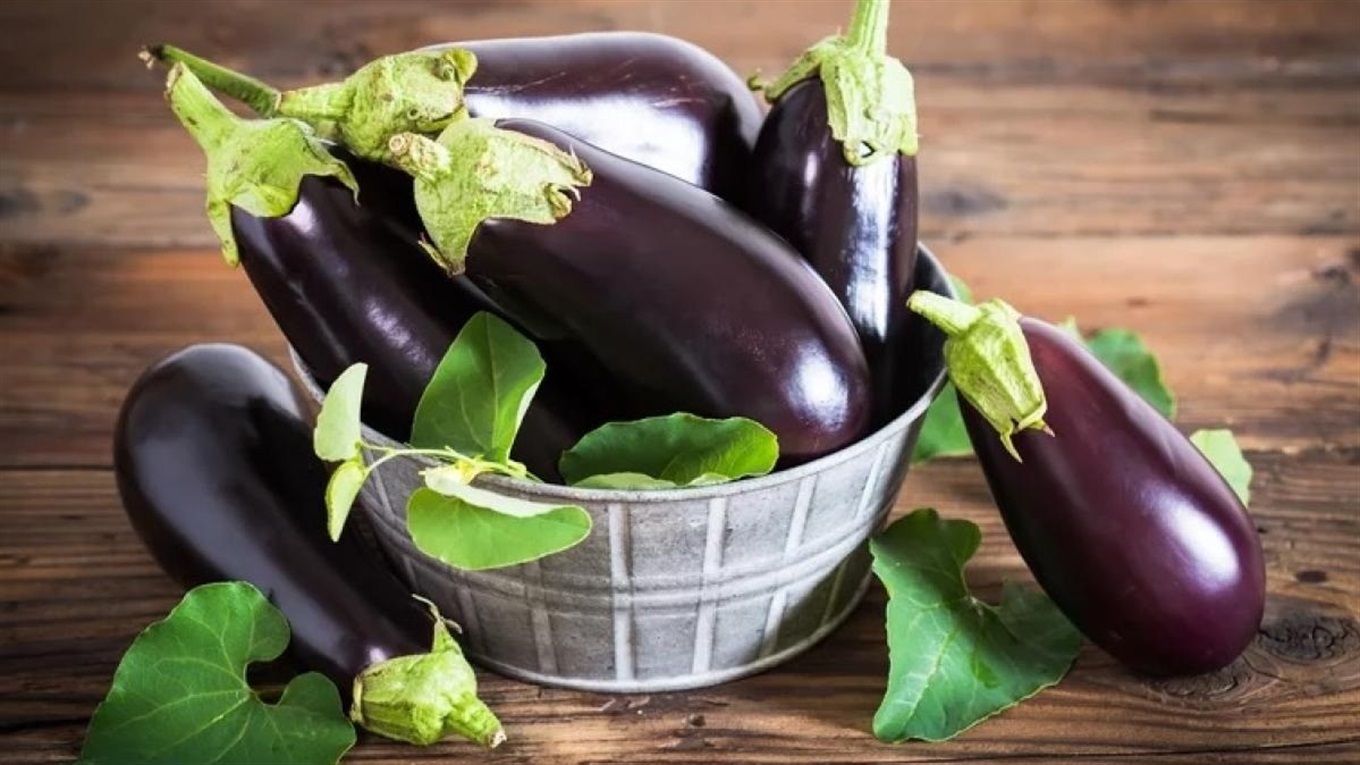 ТОП-5 рецептів з баклажанів: страви - смакота  