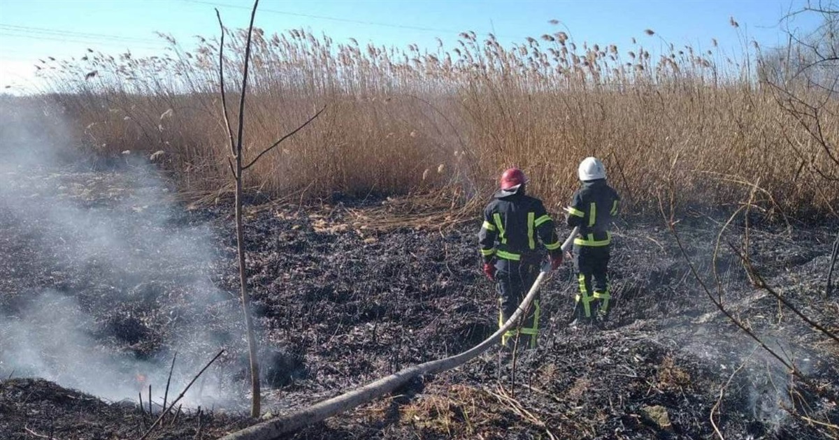 В Измаиле опять горело Лебяжье озеро
