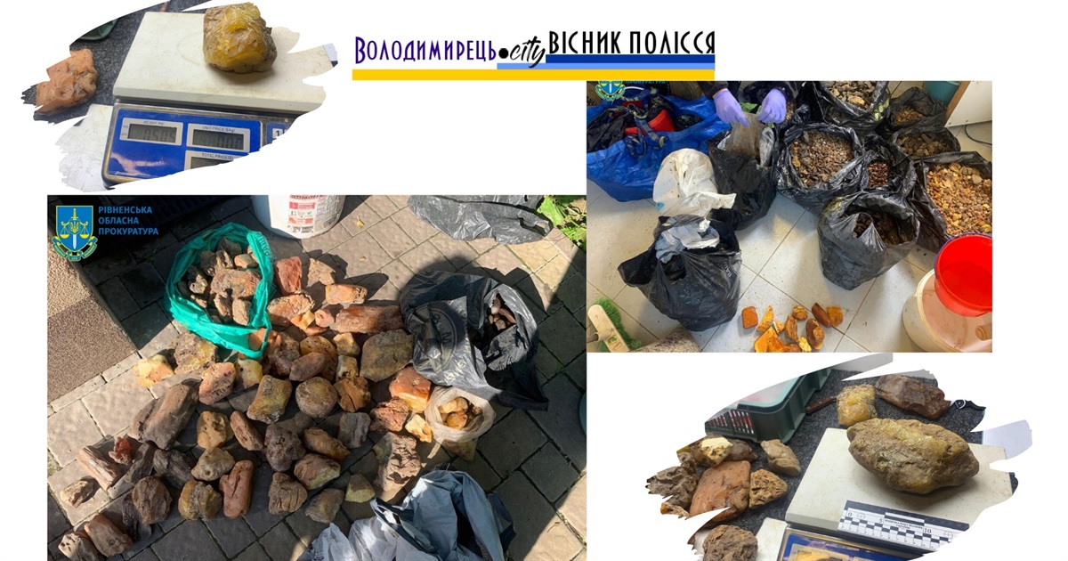 У Нобельському нацпарку впіймали бурштинщиків – вилучено півтора центнера бурштину