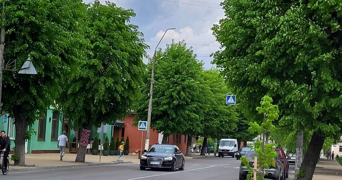 Планові відключення світла у Звягелі: графік по вулицях на 13–16 травня