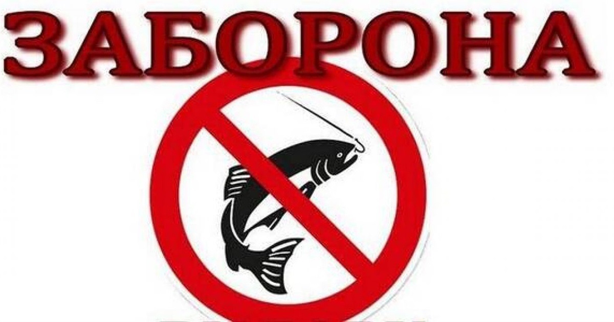З 1 листопада вводиться заборона вилову водних біоресурсів на зимувальних ямах