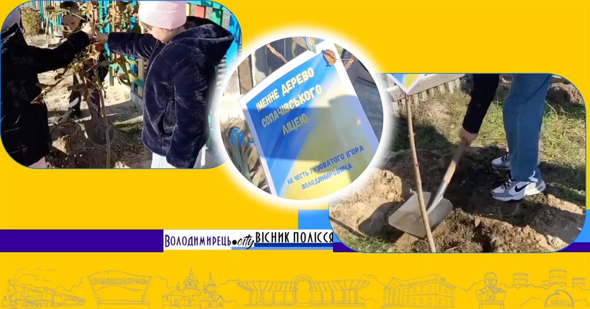 У Сопачівському ліцеї висадили алею дерев на честь загиблих воїнів-випускників