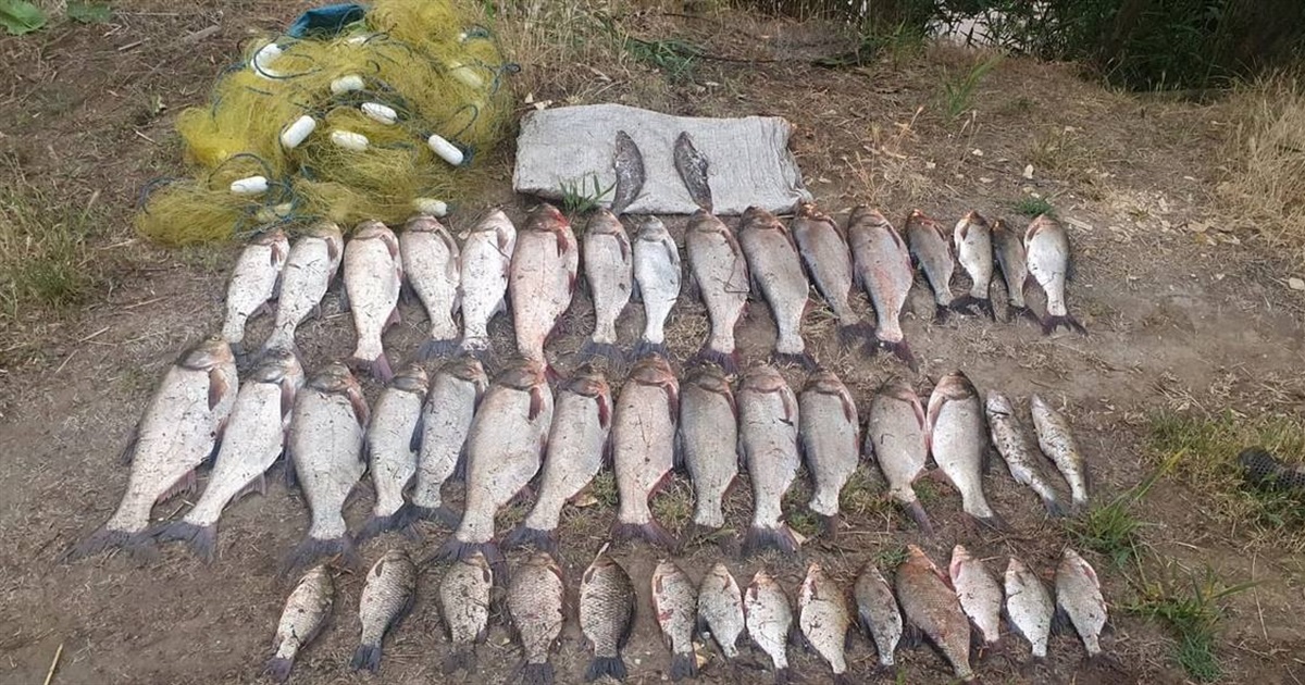 На Дунае на горячем поймали браконьера с уловом стоимостью 150 тысяч гривен