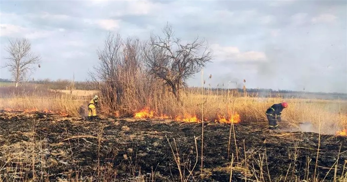У селі Кардаші горіла суха трава: опіки отримав місцевий чоловік (ОНОВЛЕНО)