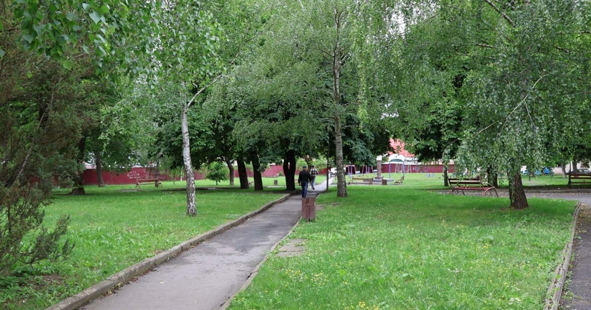 У Городку парк і стадіон планують обробити від кліщів