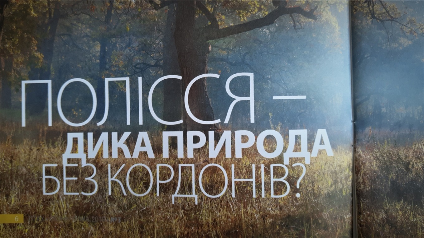Володимиреччина стане учасником міжнародного проекту по створенню біорезервату