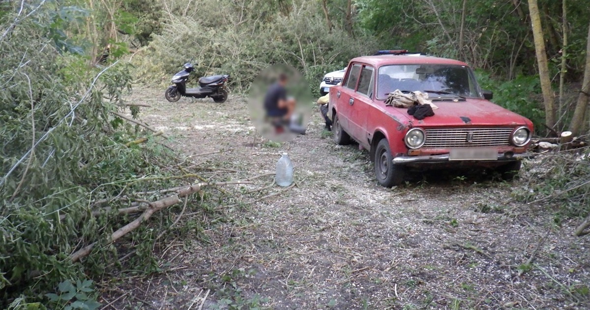 В селі Мороча поліцейські викрили двох осіб у незаконній вирубці дерев