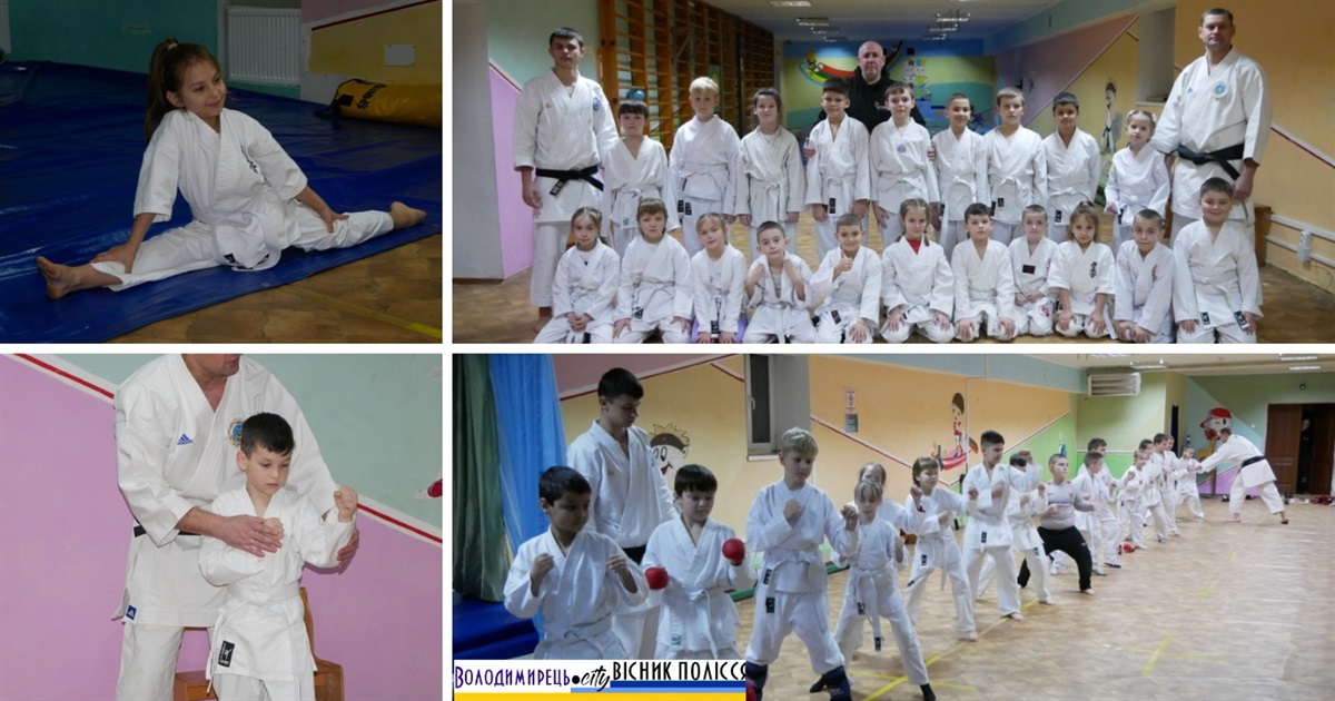 Семінар з карате у Володимирецькому ліцеї "Колегіум": нові знання та сертифікати для учнів