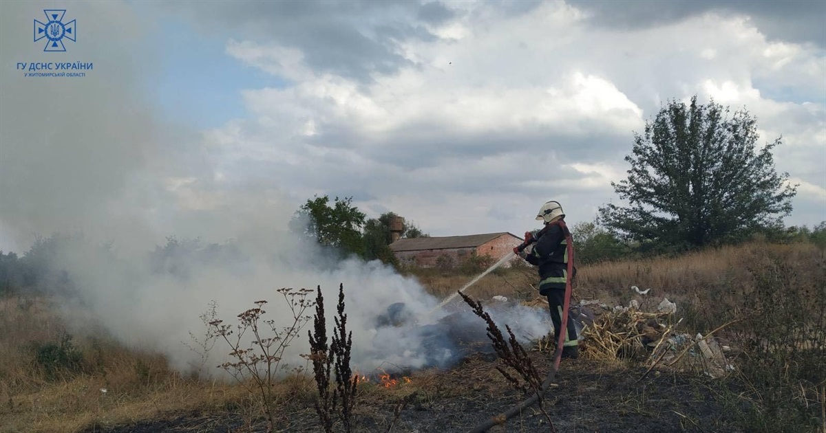 Вогонь з сухої трави перекинувся на будівлю: на Звягельщині трапилося три пожежі через сухостій