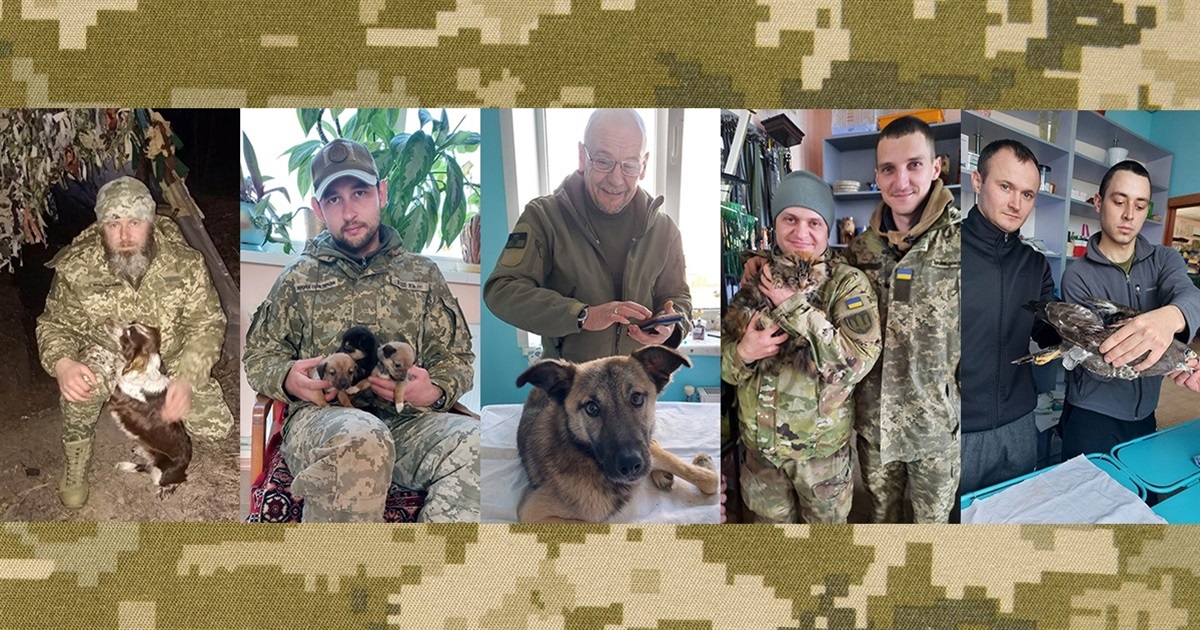У їхньому серці - сила і безмежна любов: військові ЗСУ захищають Білопільщину і рятують тварин