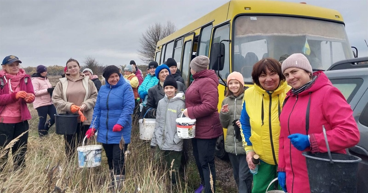 На території ландшафтного парку "Студениківський" висадили 22 тисячі сіянців сосни