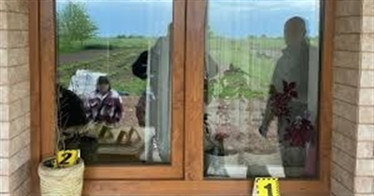 Два роки умовно і 16 тисяч судових витрат за крадіжку: у Городку розглянули справу про пограбування