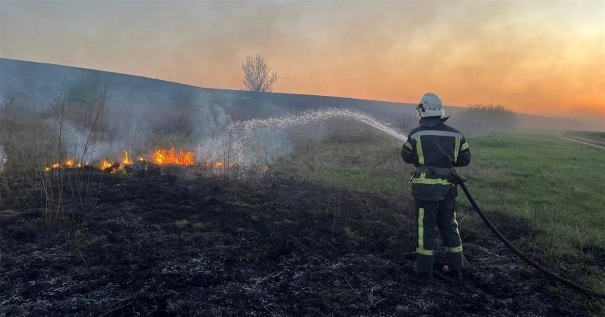 Через займання сухостою на Звягельщині ледь не постраждали житлові будинки