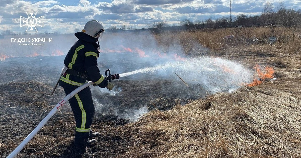 Палає суха трава, під час пожеж гинуть люди: поліція попереджає про відповідальність