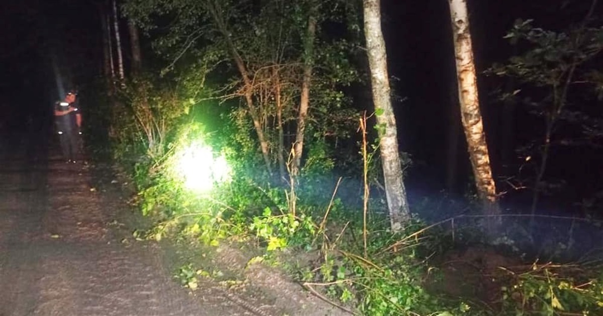 Двоє підлітків на мотоциклі отримали травми в ДТП на Звягельщині