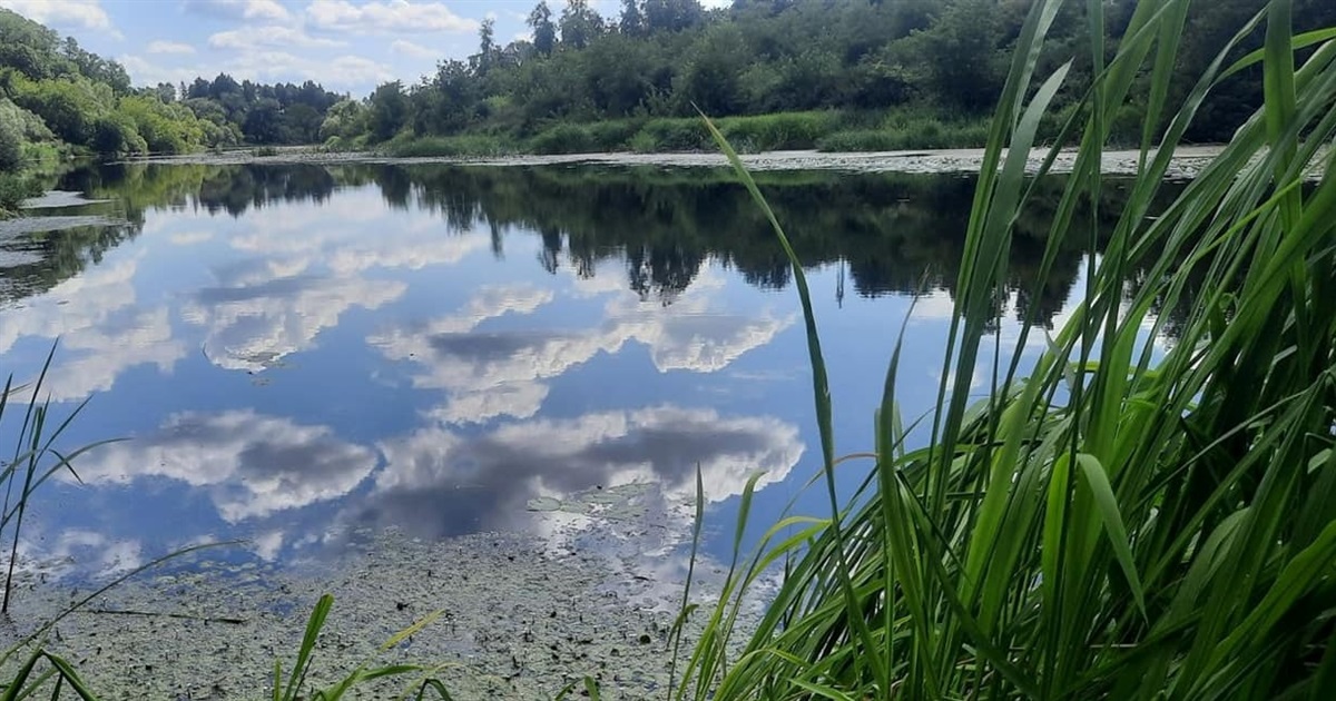 У міськраді Новограда просять повідомляти про місця скидів нечистот в річки громади