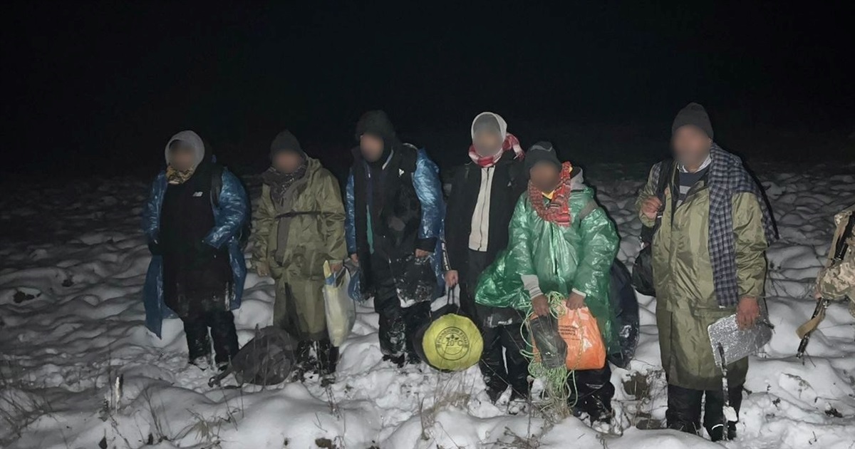 На Житомирщині на кордоні з білоруссю затримали групу нелегальних мігрантів