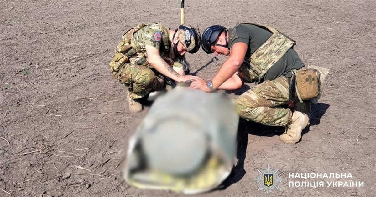 На Житомирщині знайшли нерозірвані бойові частини крилатих ракет