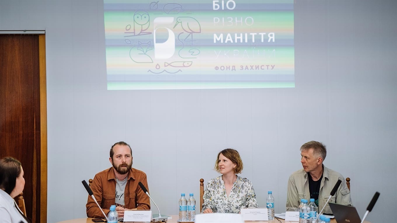 Орхідеї, метелики та бабаки: несподівані відкриття Глибоких Баликів у Ржищівській громаді