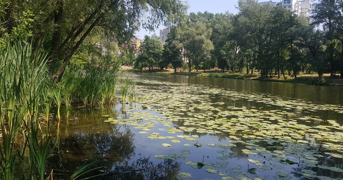 Від Сули здіймається туманець…