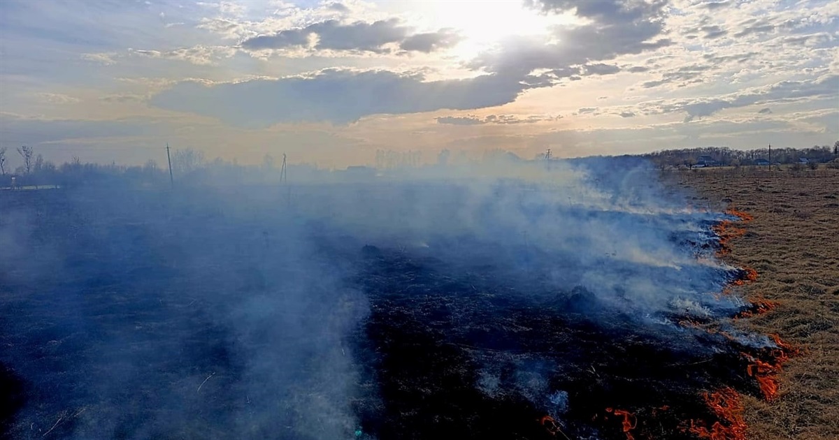 На Звягельщині вогонь з сухої трави перекинувся на будівлю