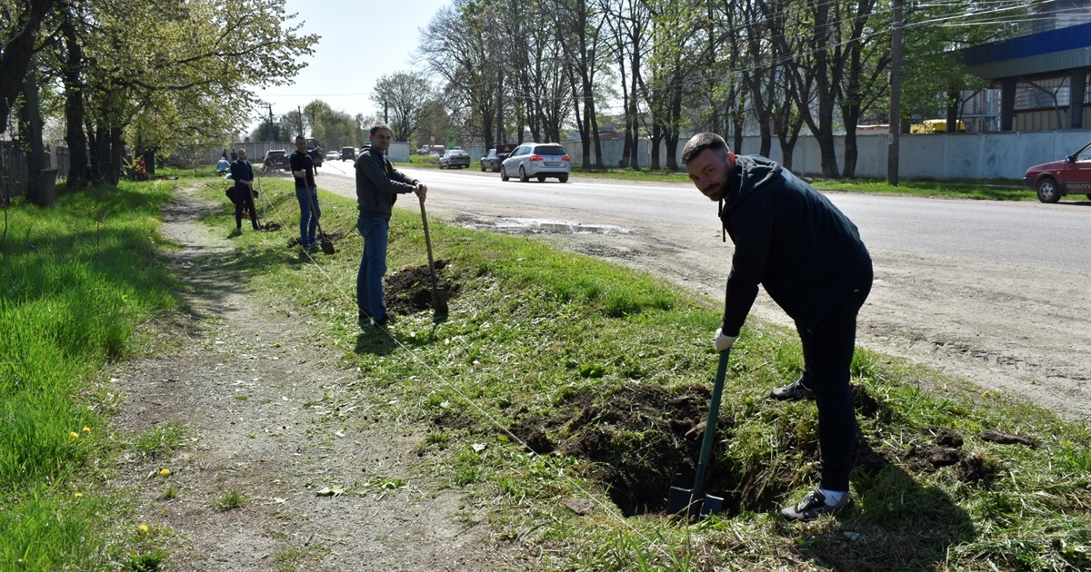 У Жмеринці у мікрорайроні «5 км» висадили 35 молодих саджанців дерев: фоторепортаж