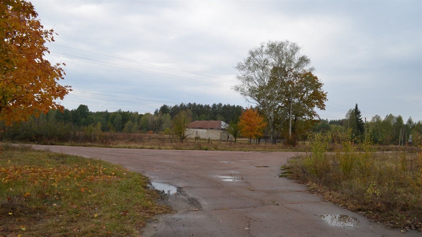 Чому Самсонівку  на Корюківщині не заселили сироїди?
