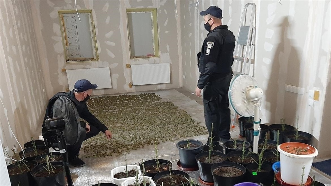 Житель Мелитопольского района растил и хранил дома наркотики на сумму около 40 000 гривен 