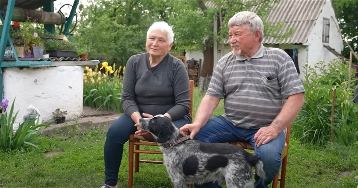Більше тікати не будемо. Як подружжя Терехових із Сіверська відбудовує життя на Черкащині