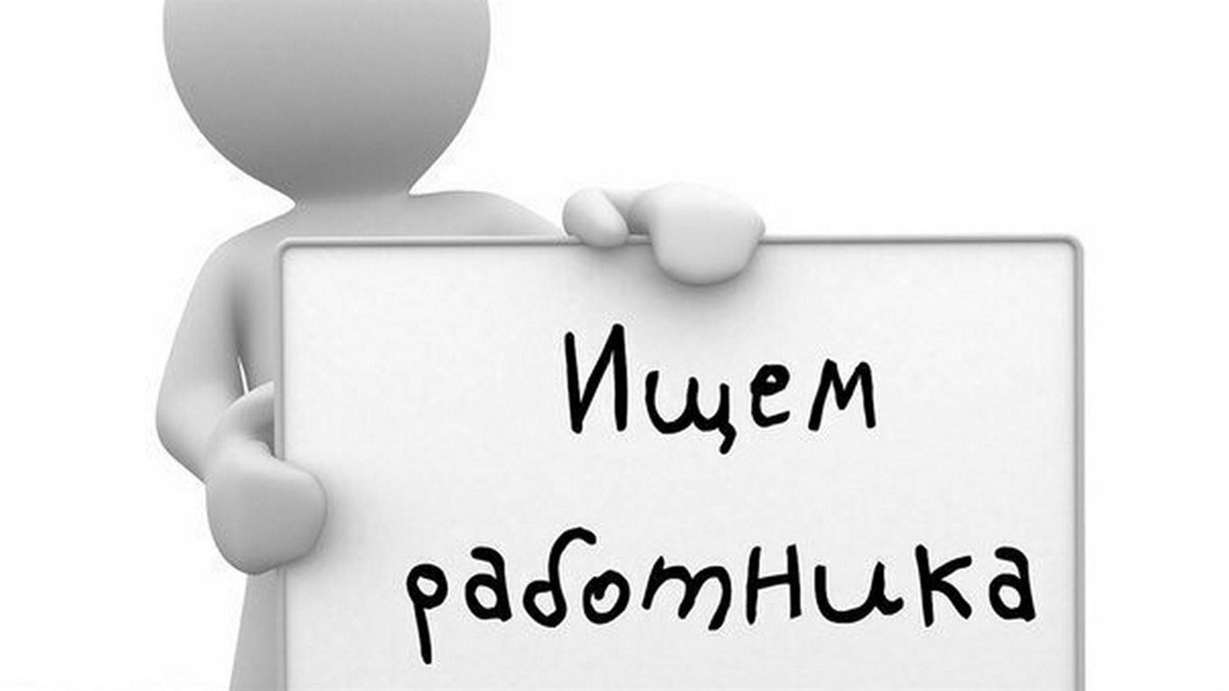 В Измаиле требуются эколог, ревизор и главный бухгалтер: смотрите горячие вакансии этой недели