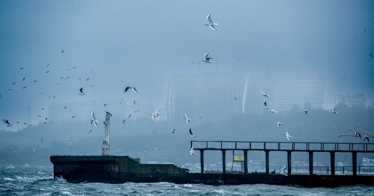 Чайки, величезні хвилі та вітер. Шторм в Одесі на пляжі Ланжерон — фото