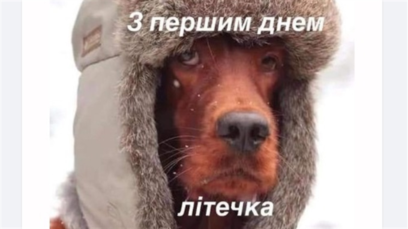 Як старокостянтинівці жартують у соцмережах про початок літа