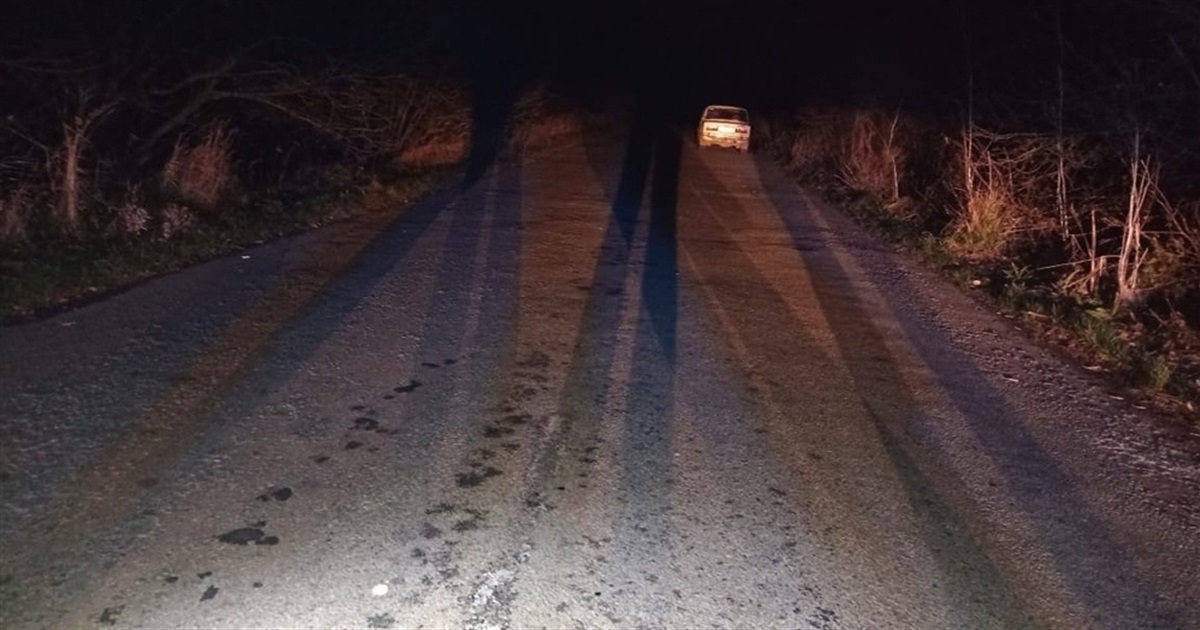 Поблизу Новограда автівка збила 14-річну дівчину — постраждала у лікарні