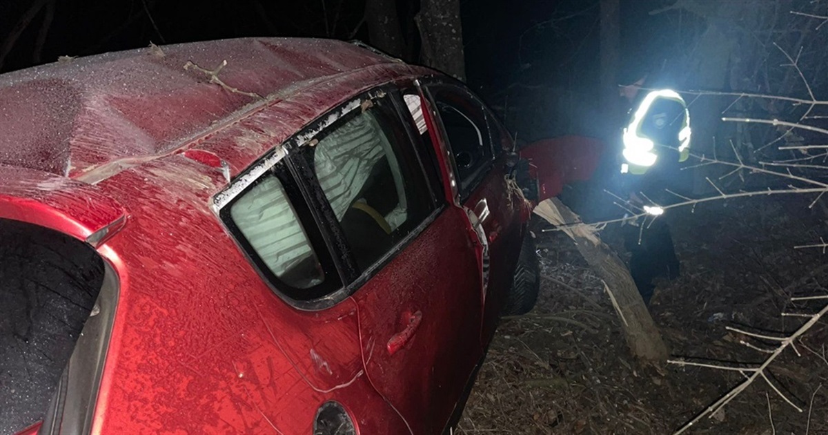 У ДТП на Звягельщині постраждали жителі Донеччини