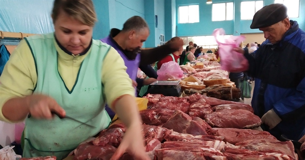 Ціни на ринку "Урожай" у Звягелі 7 грудня: огляд вартості овочів, м'яса та фуражу