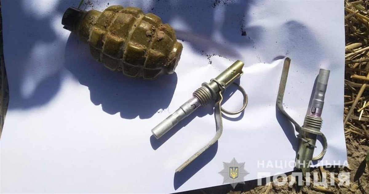 У жителя Стриївської громади вилучили боєприпаси: чоловіку загрожує від 3 до 7 років