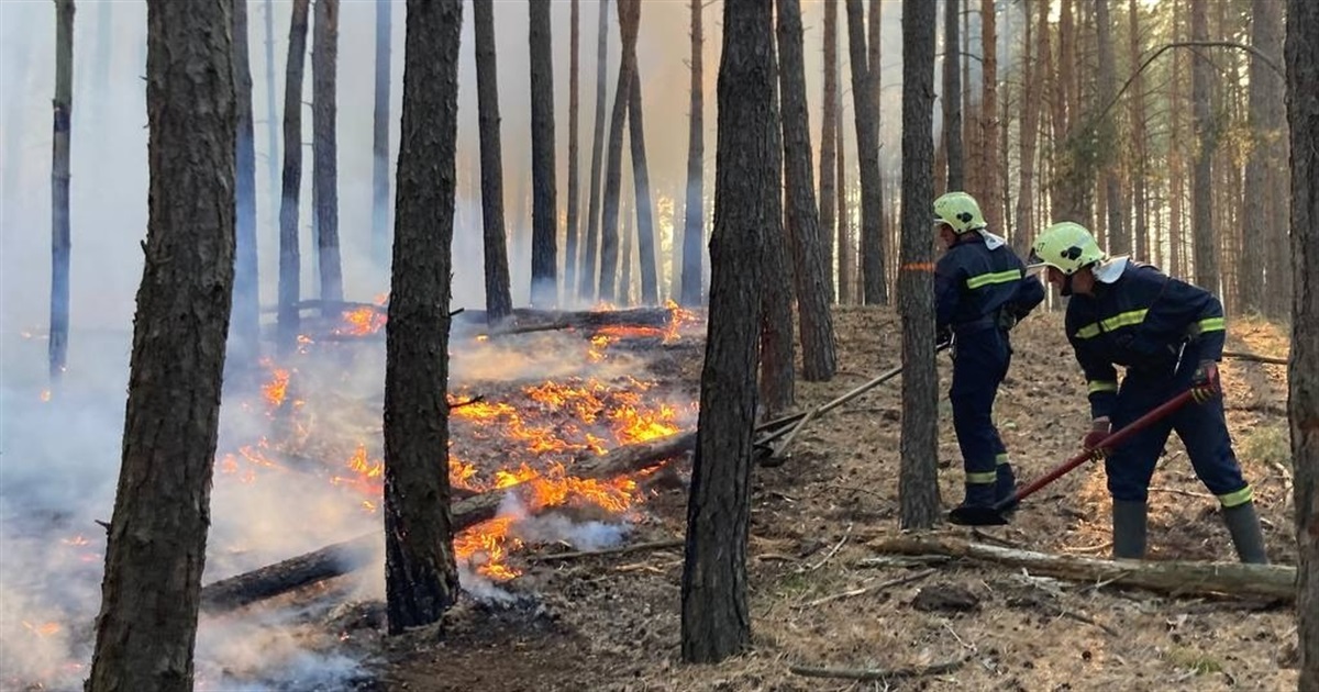 Серія пожеж на Переяславщині у вересні: п'ять – у Помоклях, чотири – в Циблях і дві – у Гайшині