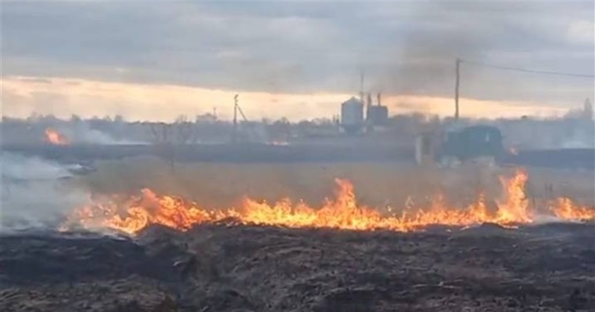 Горіла трава у Переяславі: вогонь загрожував будинкам