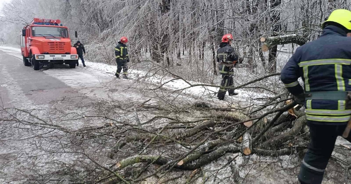 Негода на Житомирщині: рятувальники надають допомогу населенню, яке потерпає від проявів стихії