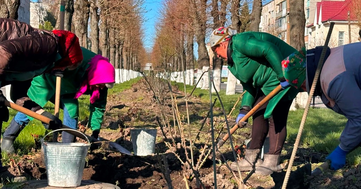 За лаштунками краси: хто щодня робить Старокостянтинів квітучим