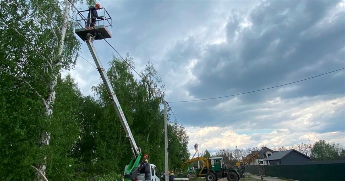Через негоду на Звягельщині знеструмлені два населені пункти та повалені дерева