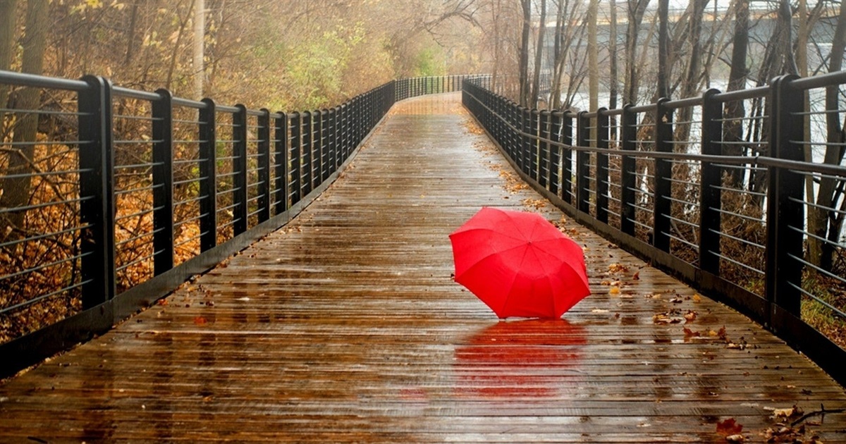 П'ятниця буде з дощами і з поривами вітру: прогноз погоди на найближчі дні