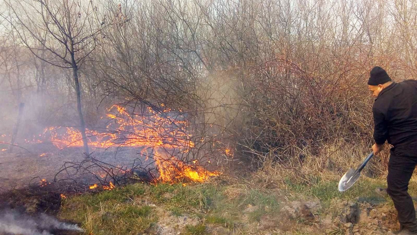 На Володимиреччині палають поля і підліски, є перша жертва серед людей. Двох паліїв уже піймали