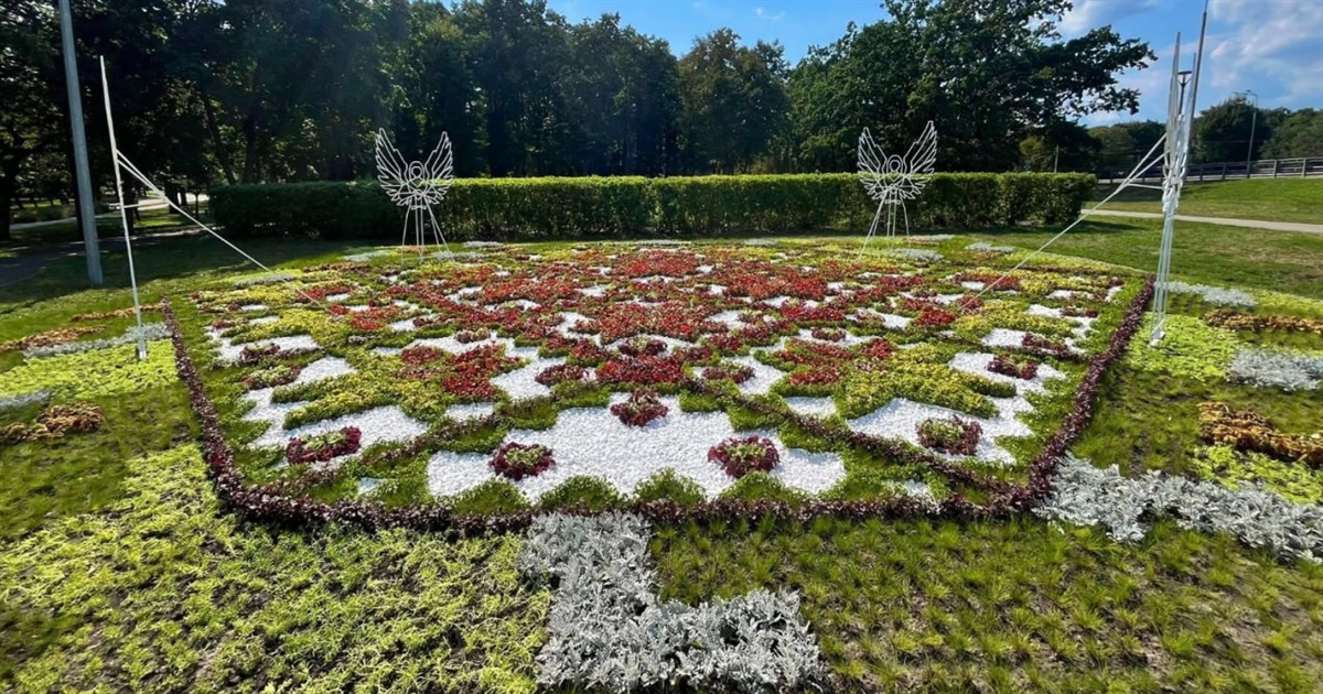 Жива пам’ять у кольорах: у Городку висадять піксельний квітник на честь полеглих Героїв
